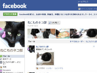 ねこものネコ部facebookページ