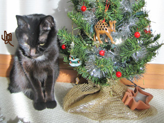 猫ノアからメリークリスマス！