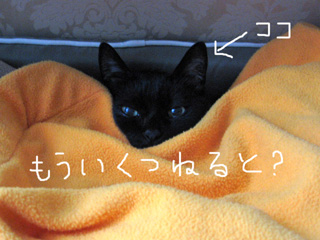 LmAA˂ނ˂