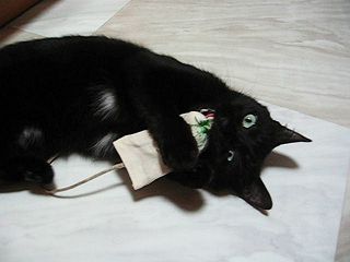 LbgjbvƔLmA